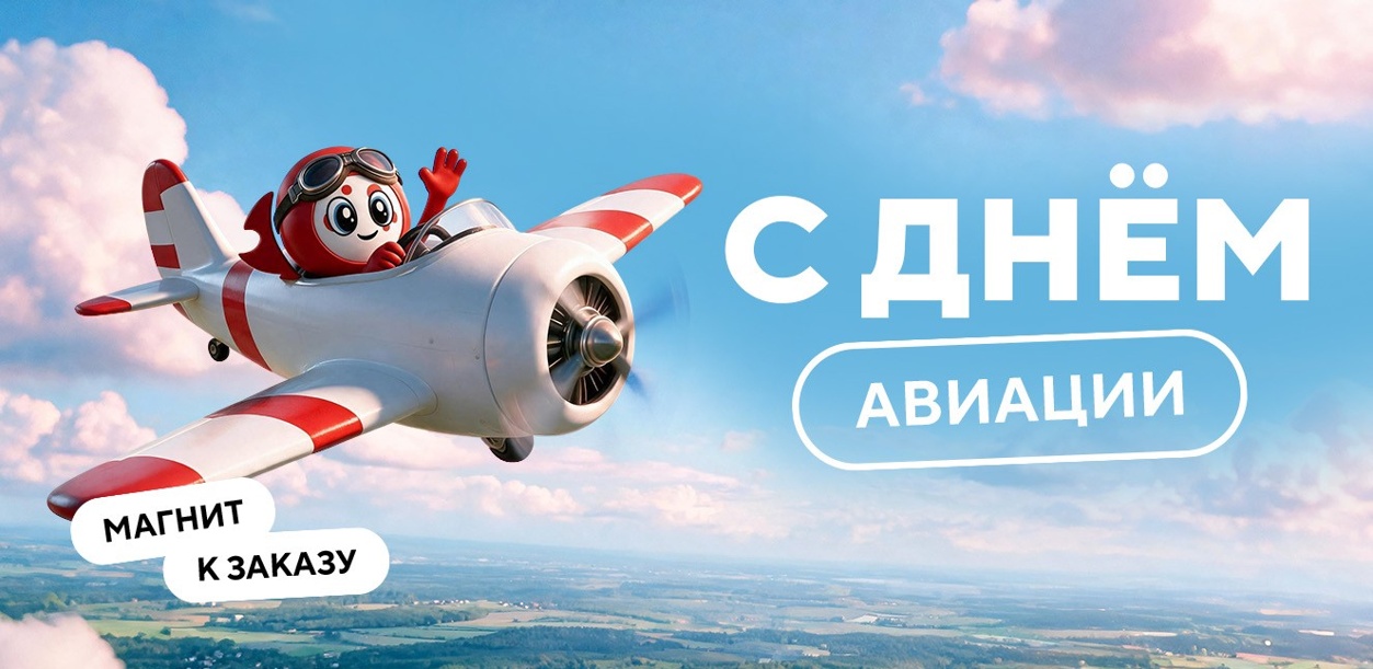 darim-magnit-k-zakazu-na-den-vozdushnogo-flota-rossii-26