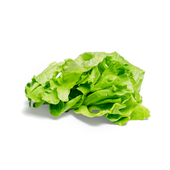 Салат Айсберг 10г