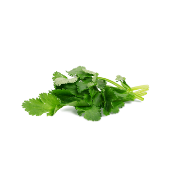 Зелень кинзы 2г