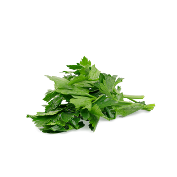 Петрушка свежая 5г