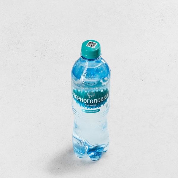 Вода Черноголовка 0,5л