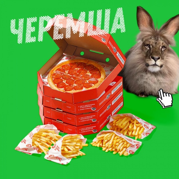 Черемша